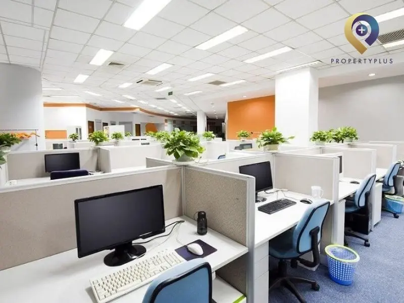 Vì Sao Doanh Nghiệp Lo Ngại Về Pháp Lý Khi Tự Thuê Văn Phòng?