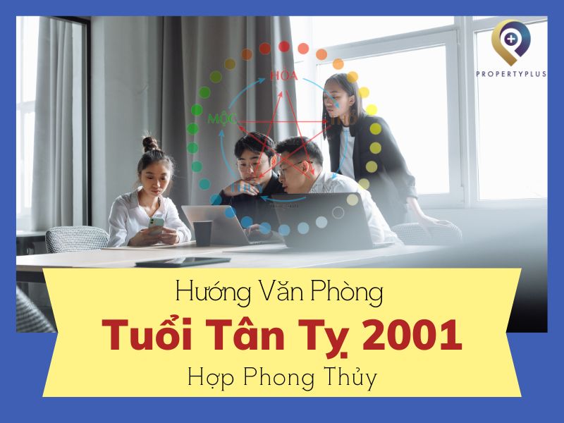 Sinh Năm 2001 (Tân Tỵ) Hợp Hướng Nào Chuẩn Phong Thủy