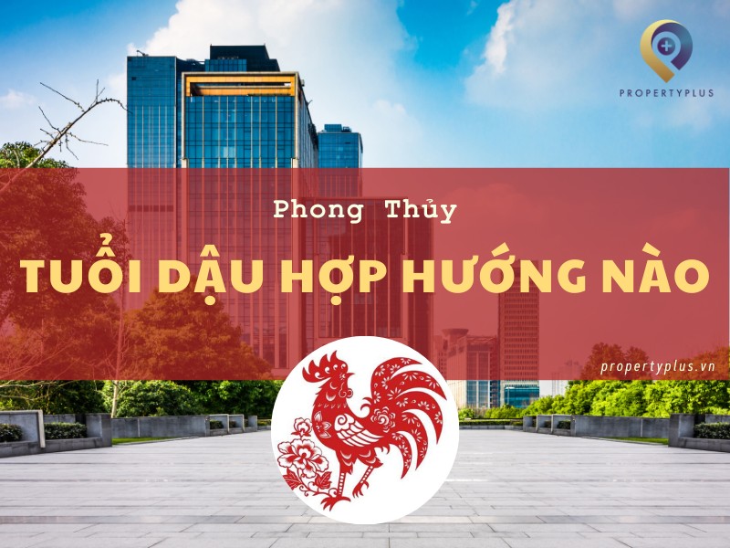 #Tuổi Dậu Hợp Hướng Nào? Hướng Văn Phòng Phong Thủy Hợp Mệnh