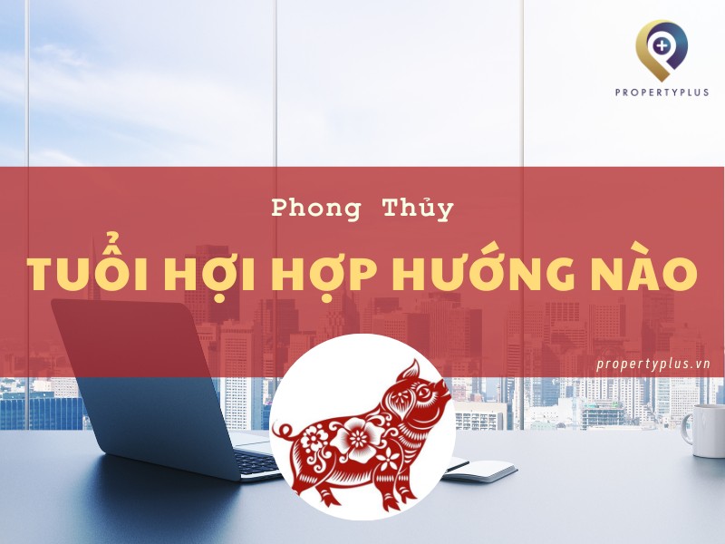 #Tuổi Hợi Hợp Hướng Nào Đại Lợi? Xem Ngay Phong Thủy Trọn Đời