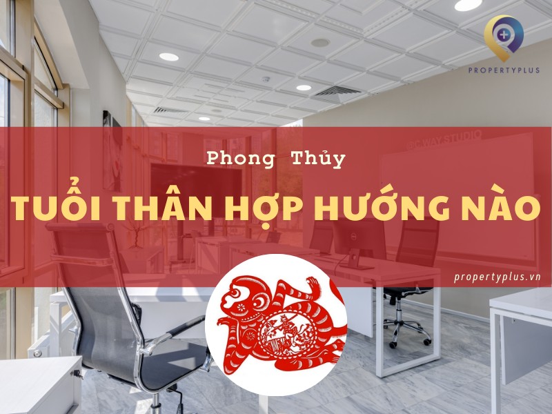 #Tuổi Thân Hợp Hướng Nào? Chọn Hướng Văn Phòng Phú Quý Tài Lộc