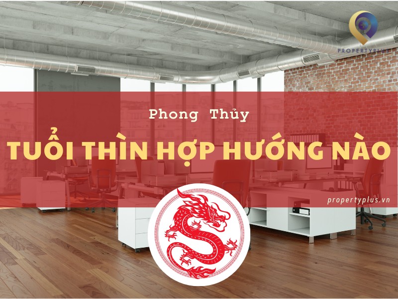 #Tuổi Thìn Hợp Hướng Nào Thịnh Vượng Phát Triển Kinh Doanh