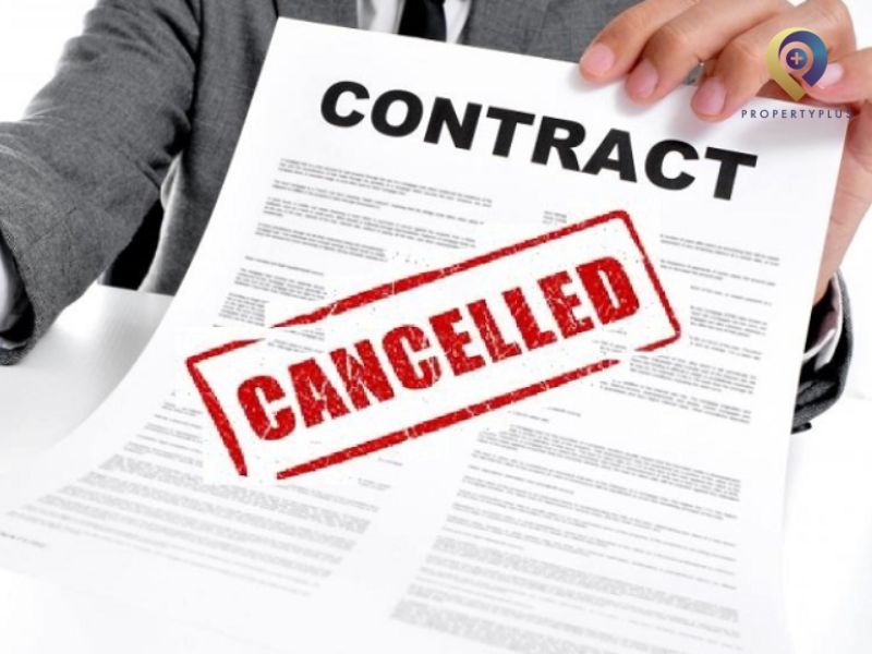 Mẫu Thông Báo Chấm Dứt Hợp Đồng Thuê Văn Phòng 2026