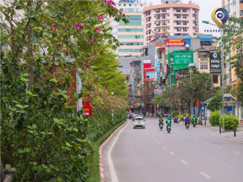 Tất Tần Tật Phường Dịch Vọng, Quận Cầu Giấy, Hà Nội
