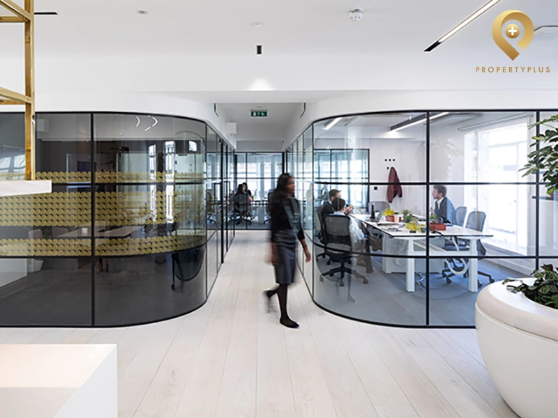 #Head Office Là Gì? Những Thông Tin Nên Biết Về Head Office 