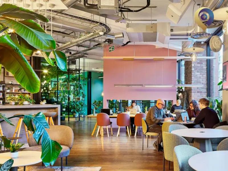 Office Amenities Là Gì? Top Các Tiện Ích Văn Phòng Thu Hút Nhân Tài