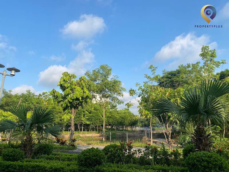 #Tất tần tật Phường Xuân Phương, Quận Nam Từ Liêm, Hà Nội