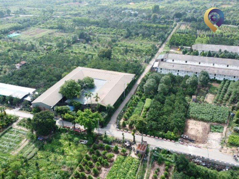 Tất Tần Tật Thông Tin Phường Yên Nghĩa Mới Cập Nhật Từ A-Z
