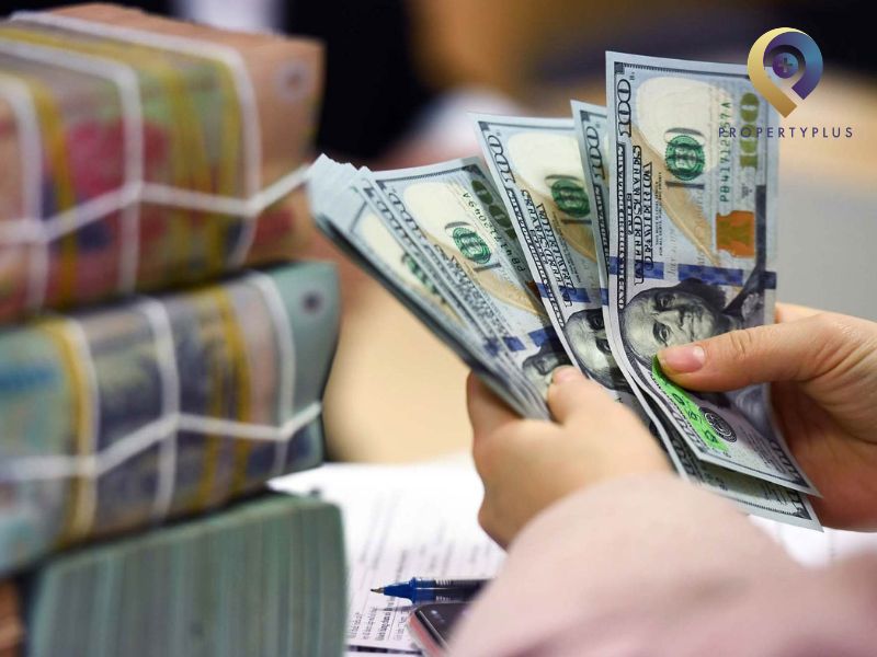 Tại Sao Cần Quy Đổi Tỷ Giá USD Khi Thuê Văn Phòng?