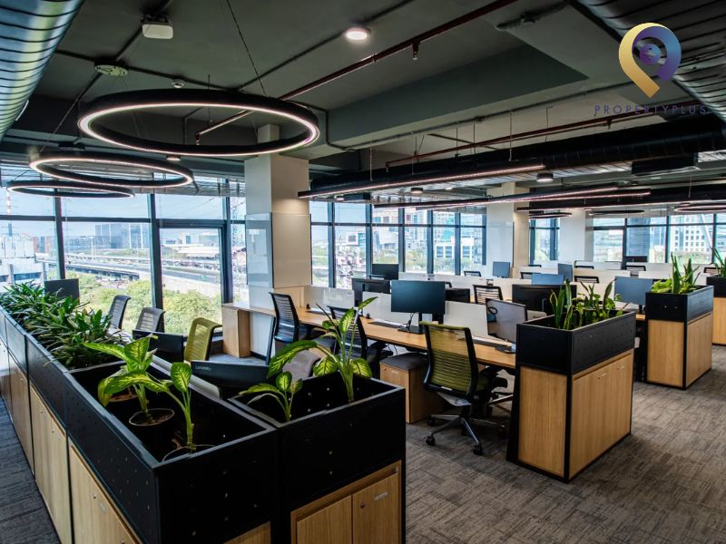 Thuê Văn Phòng Cho Công Ty IT Ở Đâu Tốt? Gợi Ý Chi Tiết A-Z