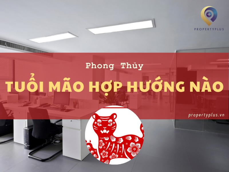 #Tuổi Mão Hợp Hướng Nào? Bí Quyết Cho Sự Nghiệp Thành Công