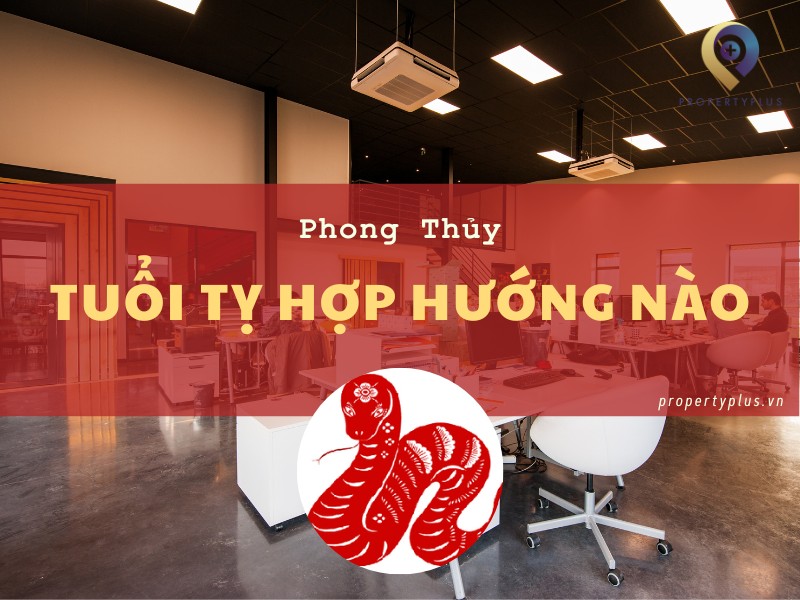 #Tuổi Tỵ Hợp Hướng Nào? Tìm Hiểu Hướng Văn Phòng Chiêu Tài