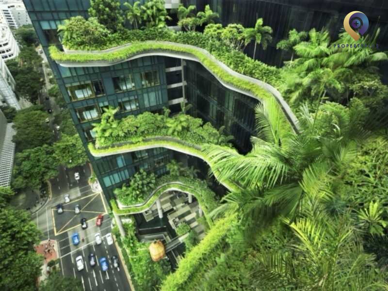 #Biophilic Là Gì? Top 7+ Gợi Ý Thiết Kế Văn Phòng Biophilic