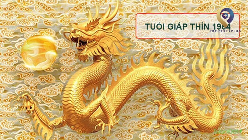 1964 hợp hướng nào