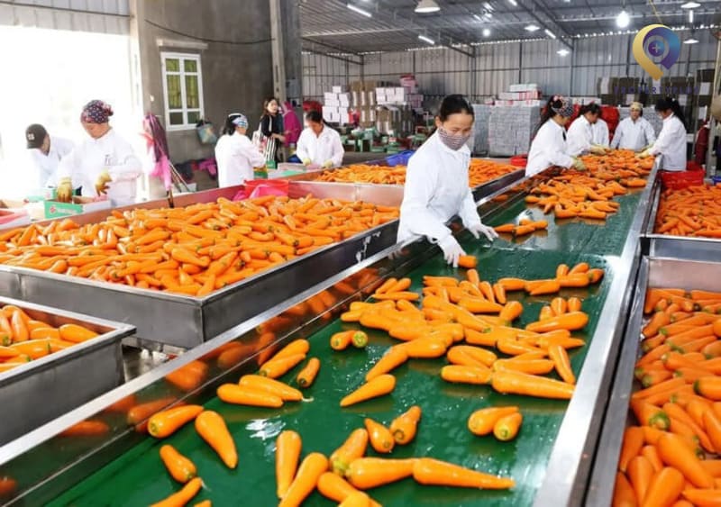 Kinh doanh nông sản địa phương