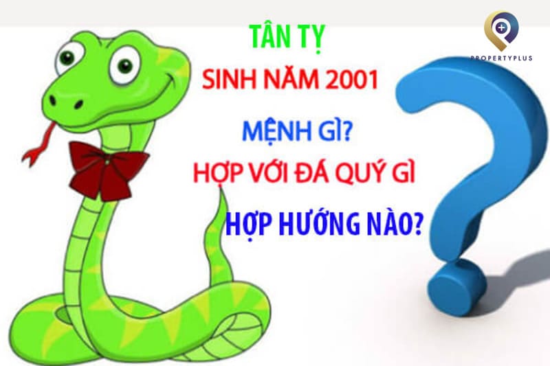 2001 hợp hướng nào
