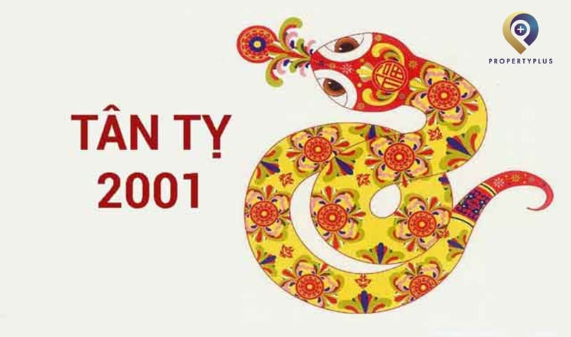 2001 hợp hướng nào
