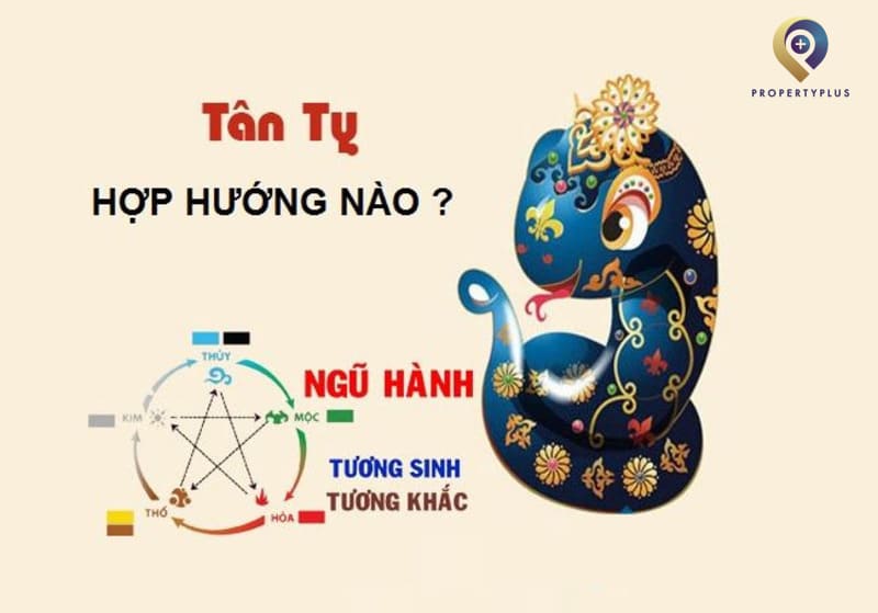 tuổi tân tỵ hợp hướng nào