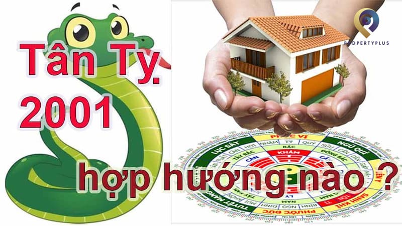 tân tỵ hợp hướng nào