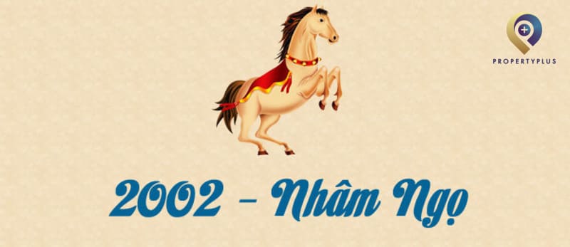 2002 hợp hướng nào