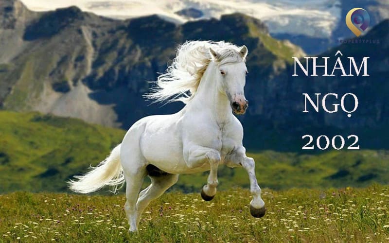 tuổi ngọ 2002 hợp hướng nào