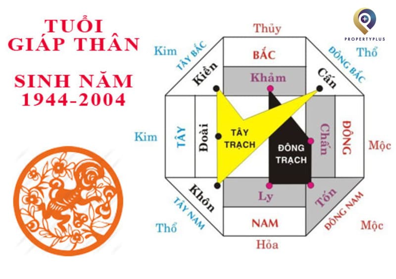 2004 Hợp Hướng Nào