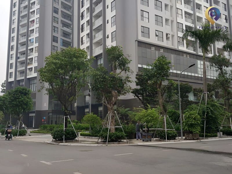 3D Building