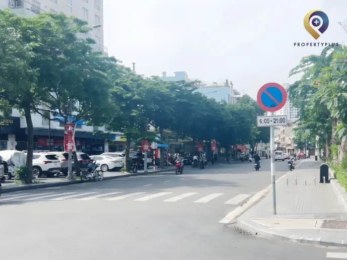 Bãi Sậy