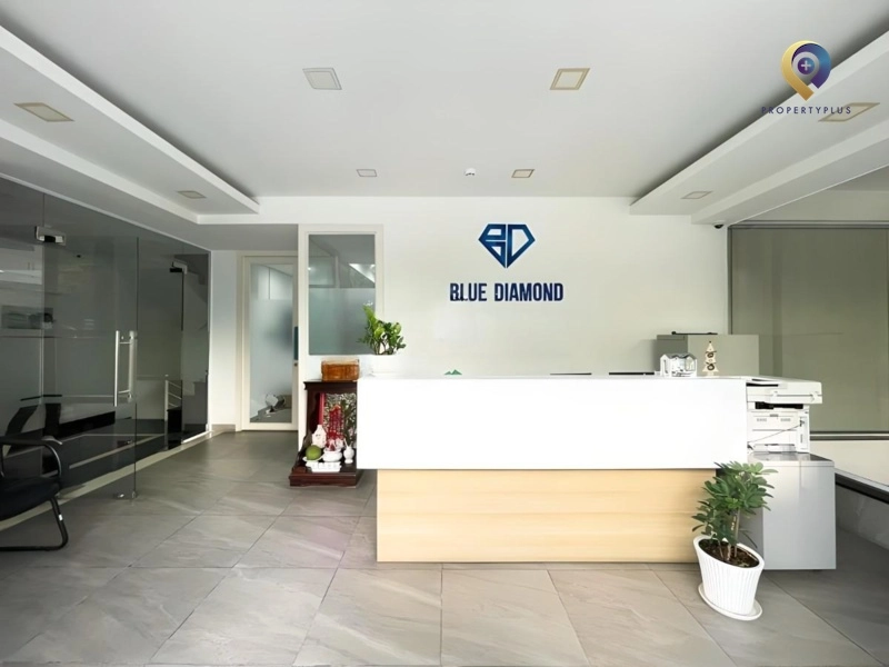 Blue Diamond Y2-3-4 Blue Diamond Y2-3-4