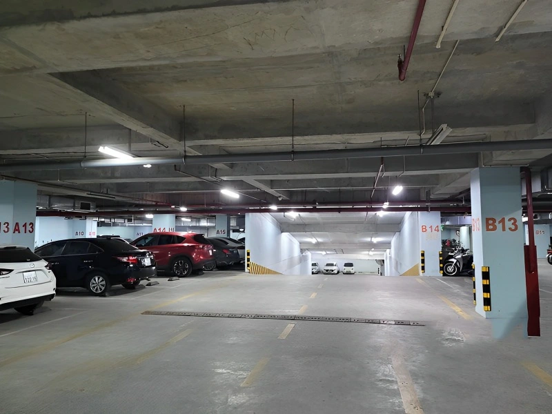 Central Field