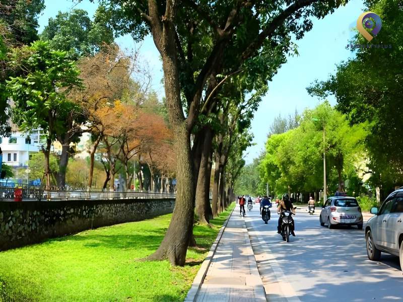 Hàng cây xanh dọc hai bên đường Kim Mã