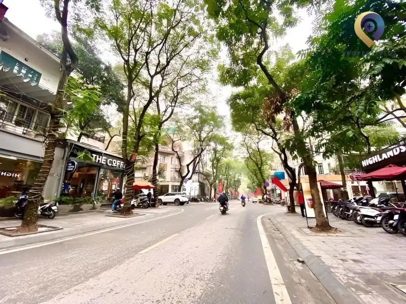 Dịch Vọng Hậu