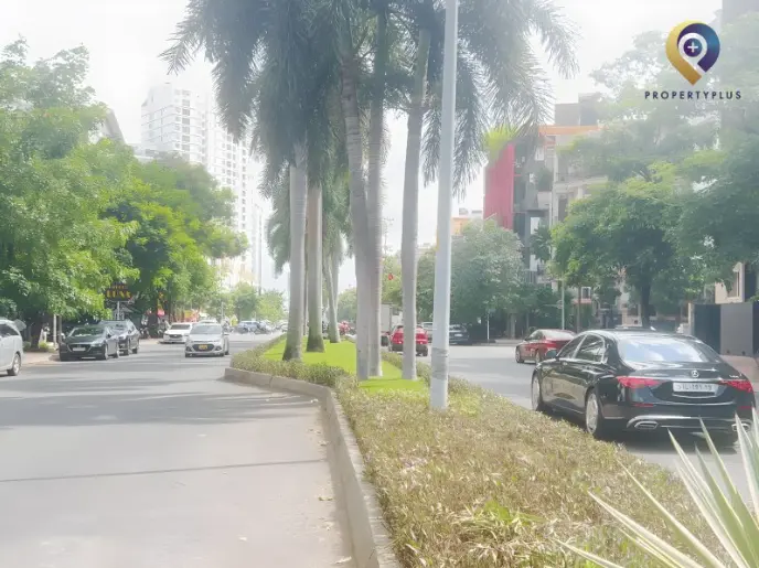 Đường D1