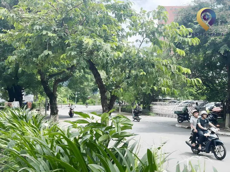 Đường số 16