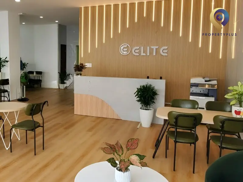 Elite Office Building Elite Office Building
