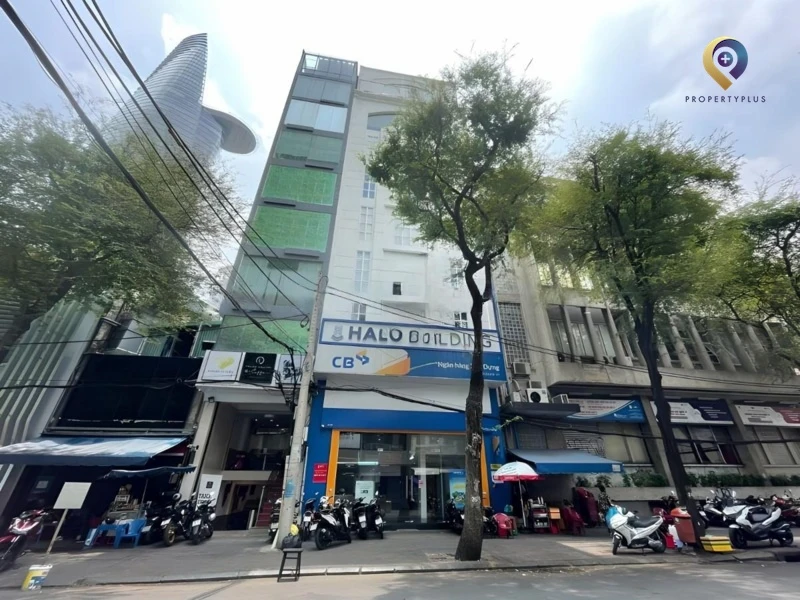 Halo Tôn Thất Đạm Halo Tôn Thất Đạm