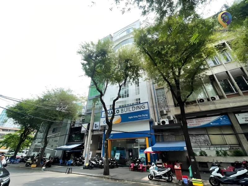 Halo Tôn Thất Đạm Halo Tôn Thất Đạm