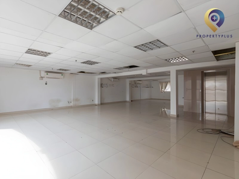 Halo Tôn Thất Đạm Halo Tôn Thất Đạm