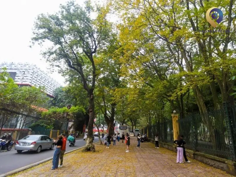 Hoàng Hoa Thám