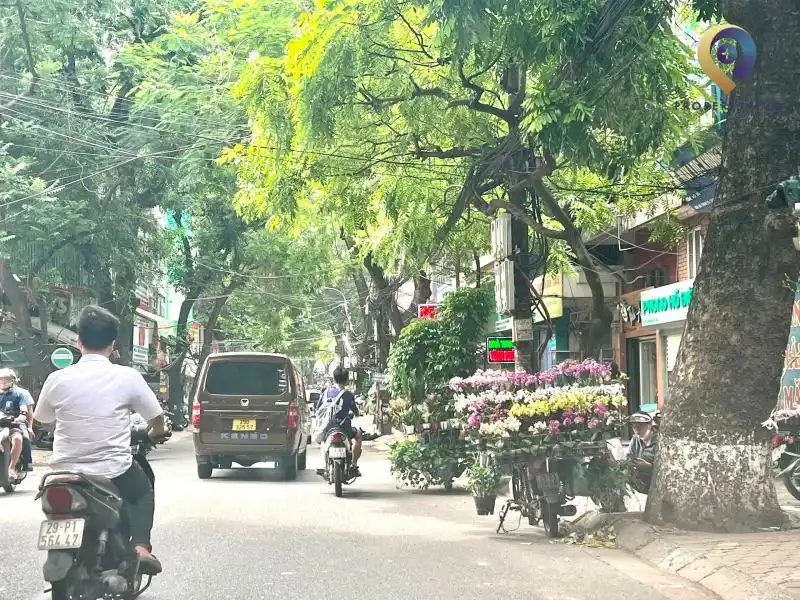 Hoàng Hoa Thám