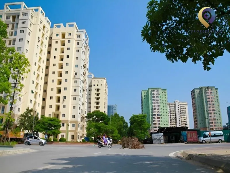 Mạc Thái Tổ