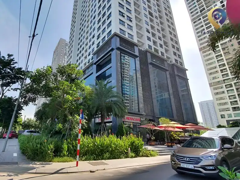 N03-T1 Ngoại Giao Đoàn