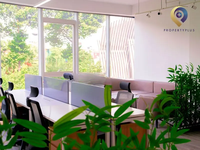 cho thuê văn phòng phường Tân Sơn Hòa cho thuê văn phòng phường Tân Sơn Hòa