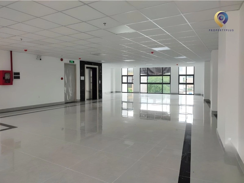 PLS Nguyễn Phúc Nguyên