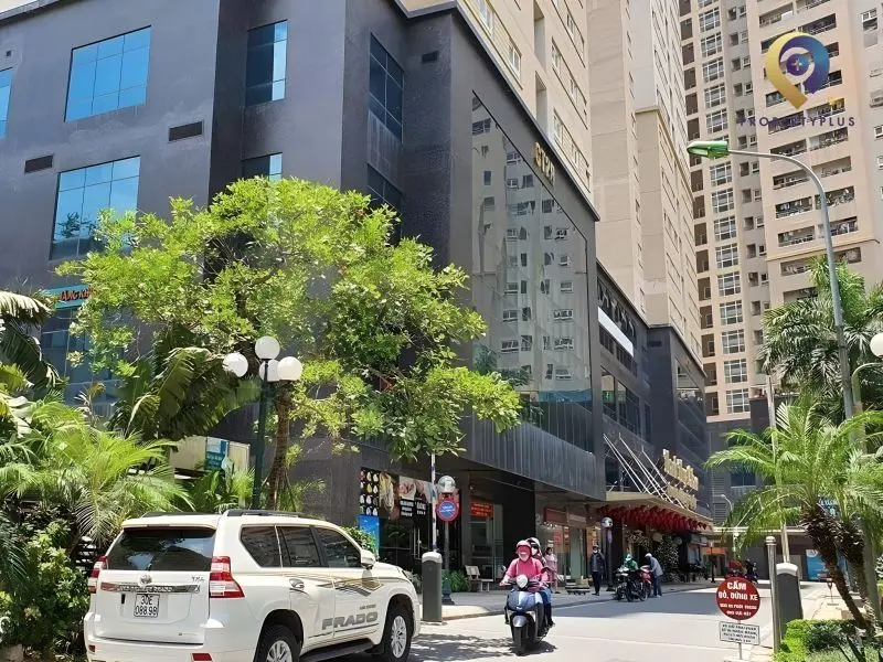 Cảnh quan cây xanh tươi mát xung quanh tòa nhà Nam Đô Complex