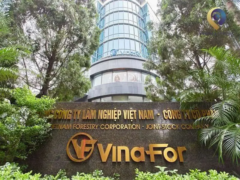 Lợi thế vàng của tòa nhà Vinafor Building