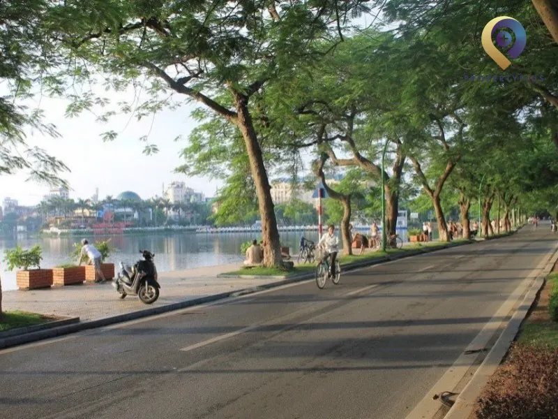 Thanh niên