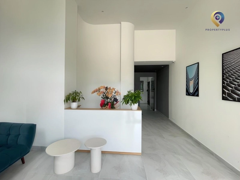 Thái Sơn S.P Building – văn phòng lớn 5 tầng nổi, 2 tầng hầm, sàn 550m².