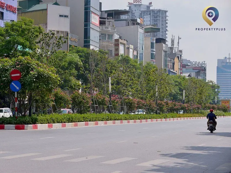 Trần Duy Hưng