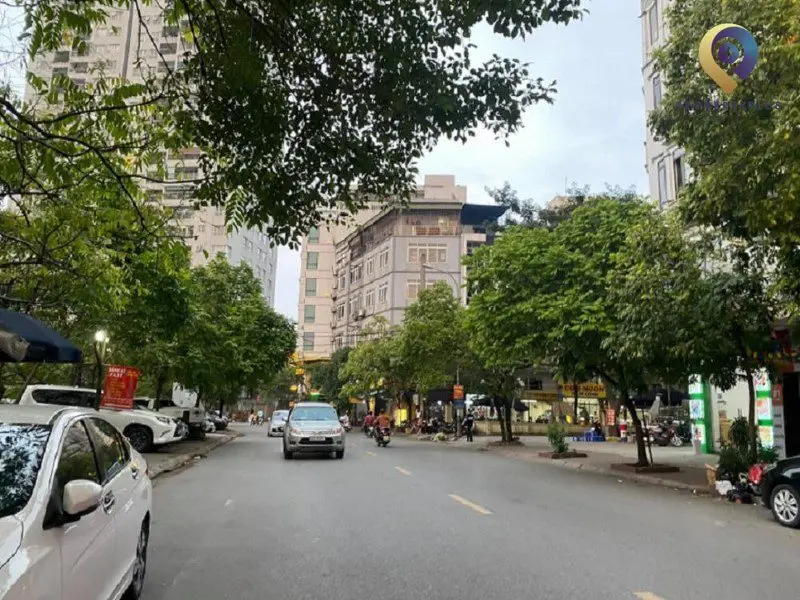 Tú Mỡ